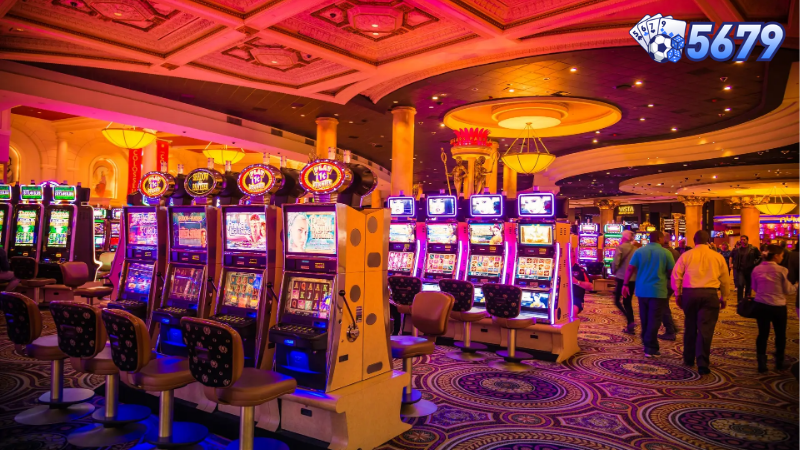 Giới thiệu về nhà cái 5679 và sảnh game bài đông người chơi nhất